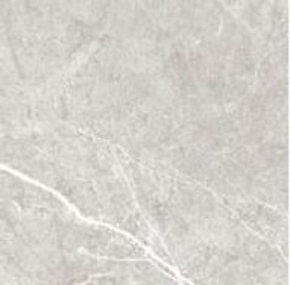 Εικόνα της CENTURY GRIS MATE 60X60