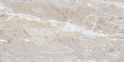 Εικόνα της INFY TAUPE 60x120