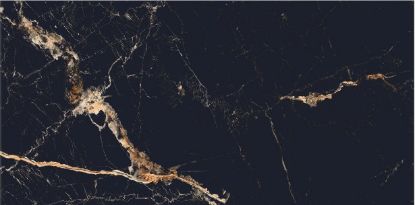 Εικόνα της VIENZE BLACK 60x120