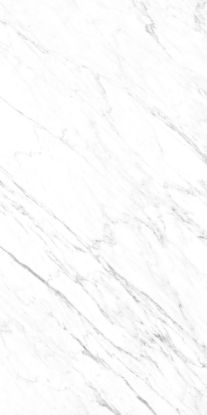 Εικόνα της VANATINO CALCATTA CARVING 60x120