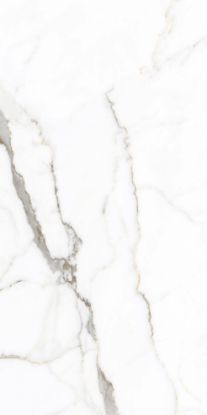 Εικόνα της VENATO CLASSIC CARVING 60x120