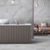 Εικόνα της BARCELONA GREY MATT 60x120