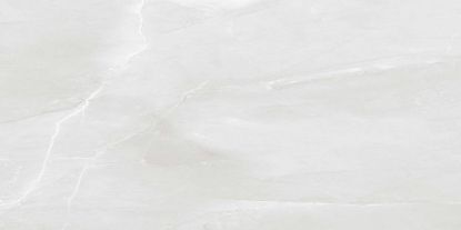 Εικόνα της FRANCE GRIS 60x120