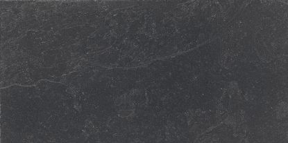 Picture of SLATE ANTHRACITE 60x120