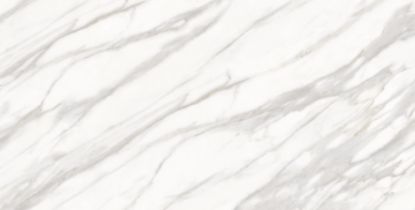 Εικόνα της ALKARZ SATVARIO SL POLISHED 60x120 RECT. A'