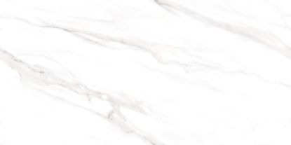 Εικόνα της INFY POLO SL MATT 60x120 RECT. A'