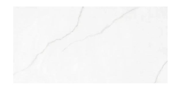 Εικόνα της POLAR SILVER 60x120 RECT. A'