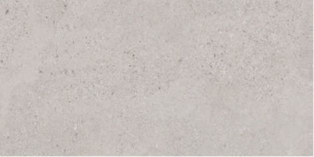 Εικόνα της CONCRETE GREY(AG) MATT 60x120 RECT. A'