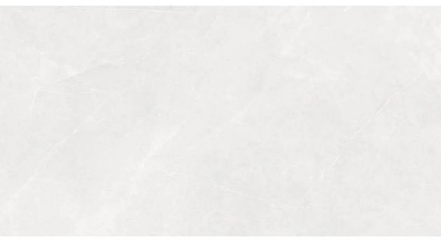 Picture of REBEL WHITE 60x120 RECT. A'