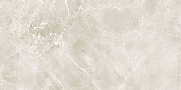 Εικόνα της HIGHLANDS STONE MATT 60x120 RECT. A'