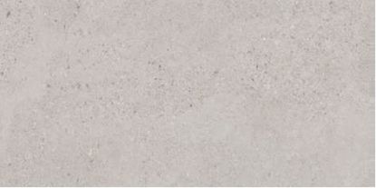 Εικόνα της CONCRETE GREY(AG) MATT 60x120 RECT. A'
