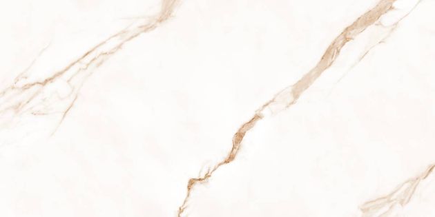 Εικόνα της AUREX WHITE MATT 60x120 RECT. A'