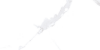 Εικόνα της CARRARA BIANCO POLISHED 60x120