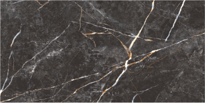 Εικόνα της SAVOIA BLACK POLISHED 60x120