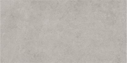 Picture of MILA GRIS 60x120 A'